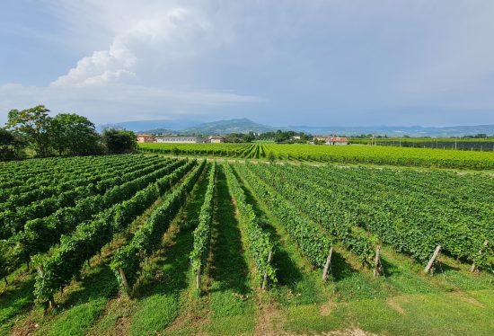 Valpolicella, Vino e Marmo